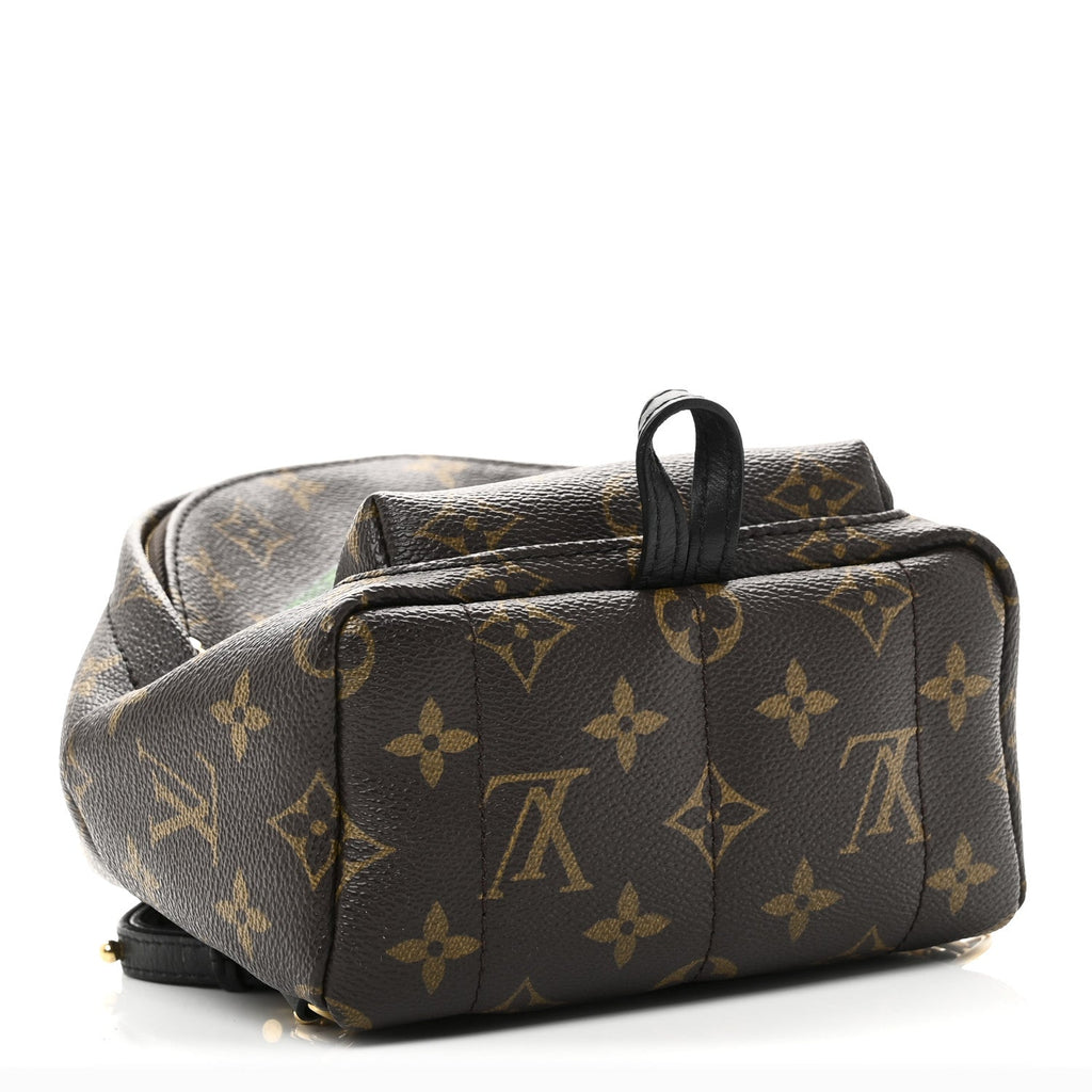 Monogram My World Tour Palm Springs Backpack Mini