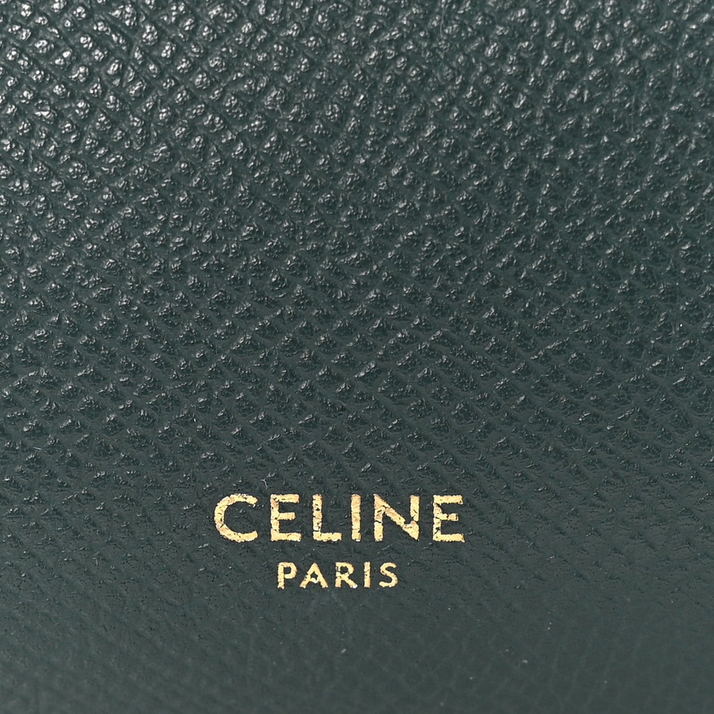 Grained Calfskin Micro Belt Bag Amazone