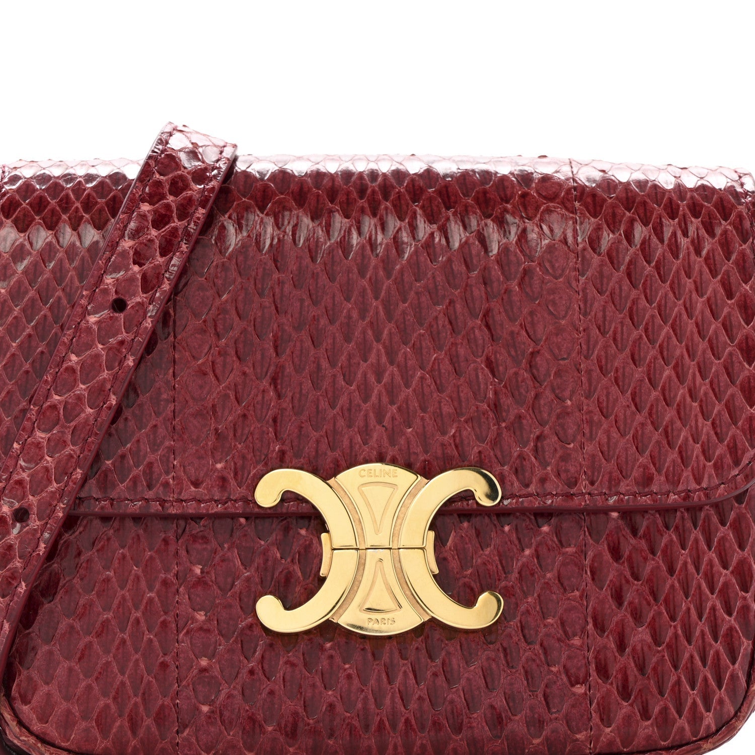 Watersnake Teen Triomphe Ruby
