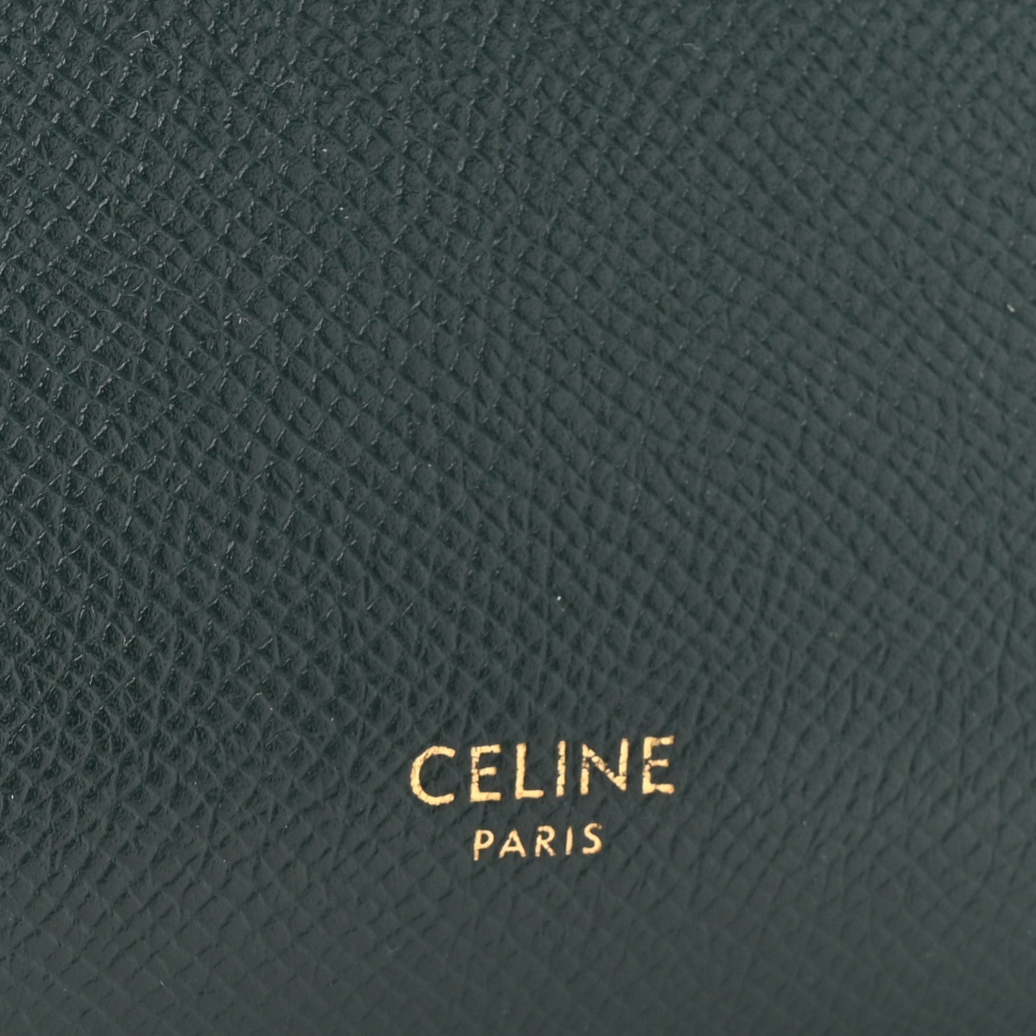 Grained Calfskin Nano Belt Bag Amazone