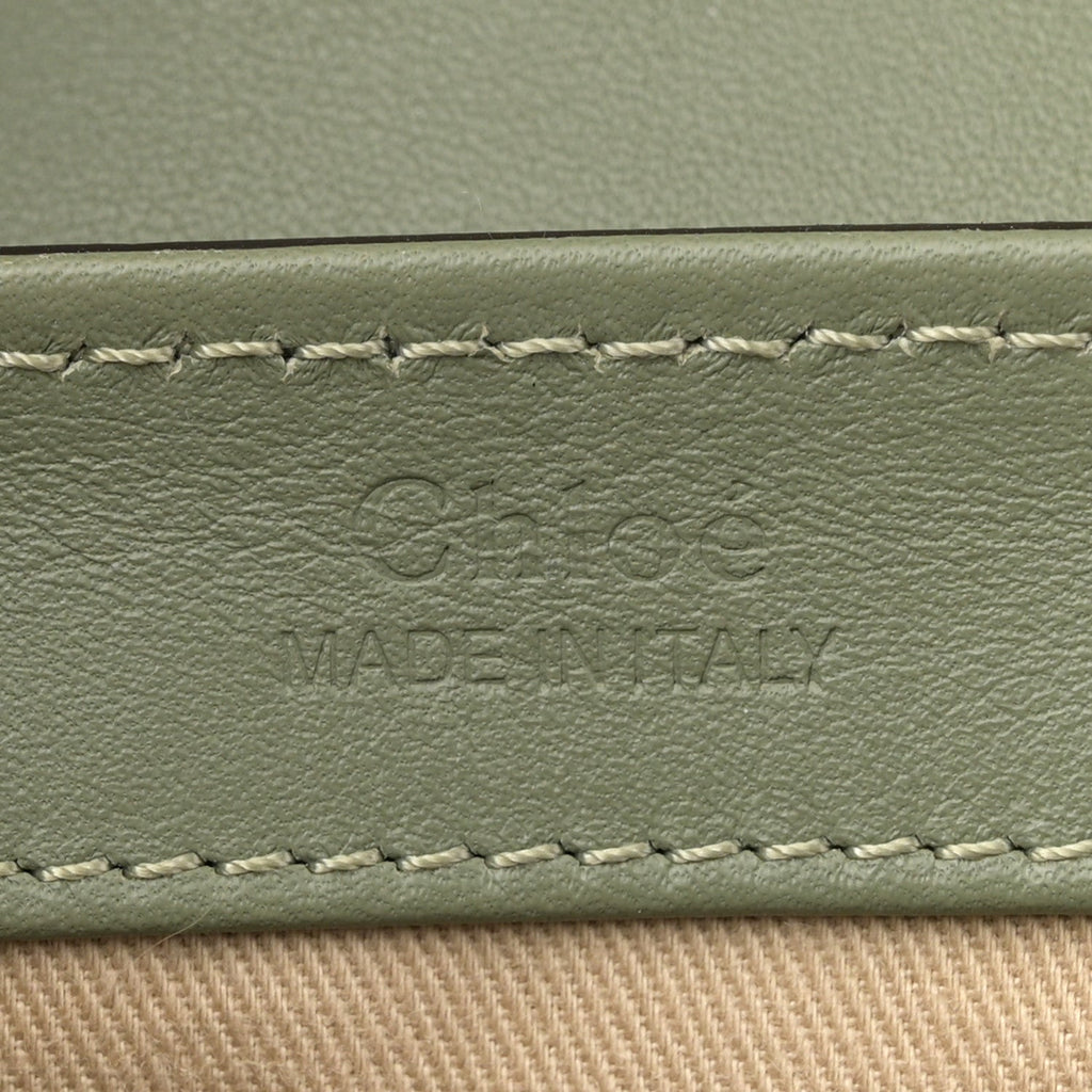 Calfskin Crocodile Embossed Mini C Double Carry Misty Forest