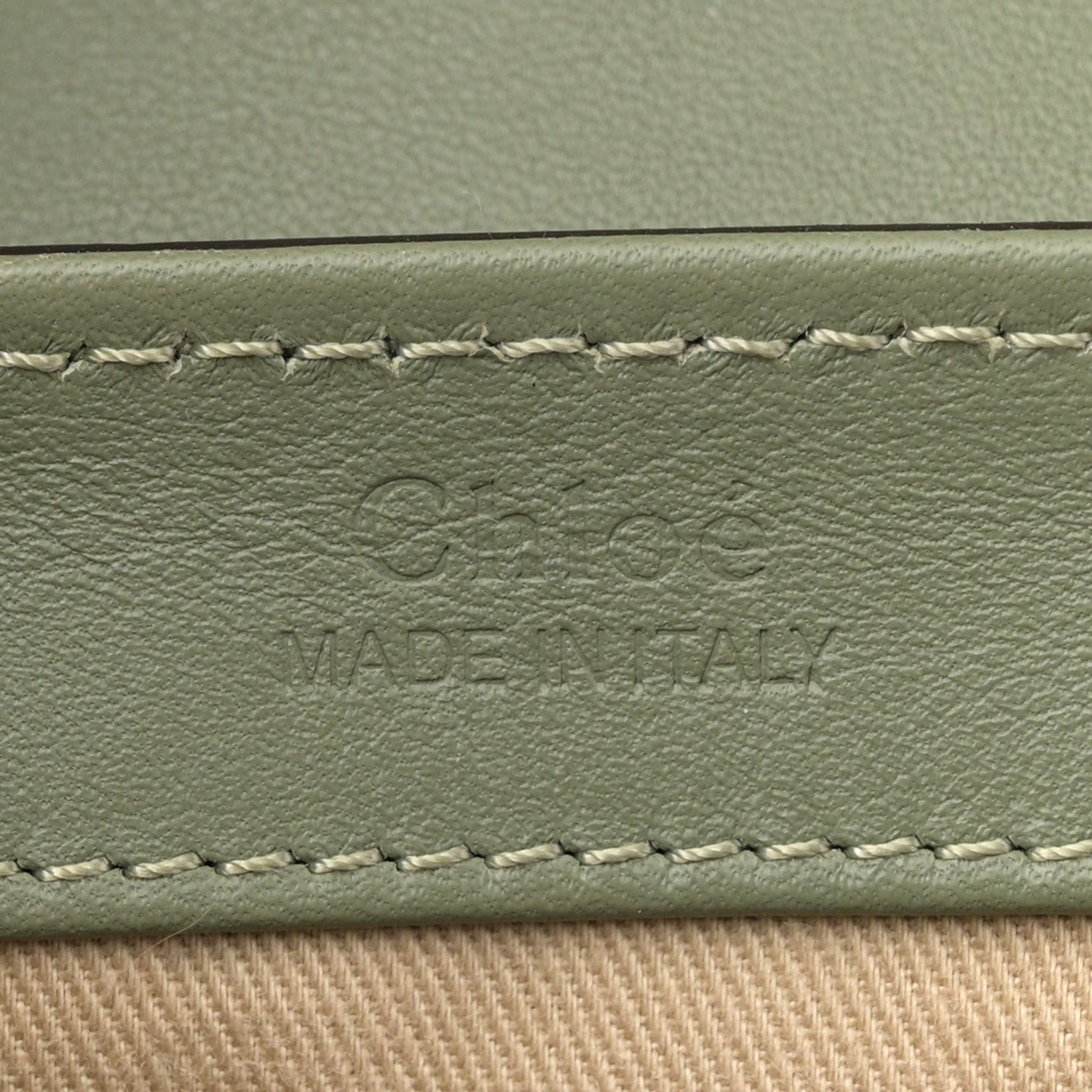 Calfskin Crocodile Embossed Mini C Double Carry Misty Forest
