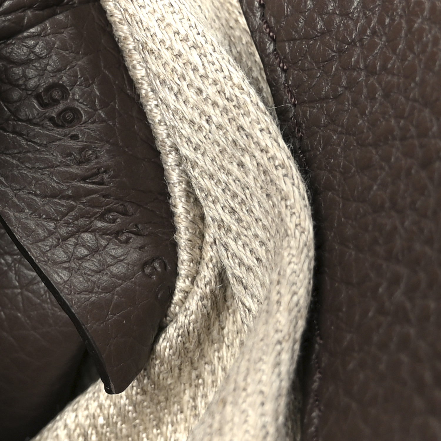 Grained Calfskin Small Marcie Round Crossbody Bag Bold Brown