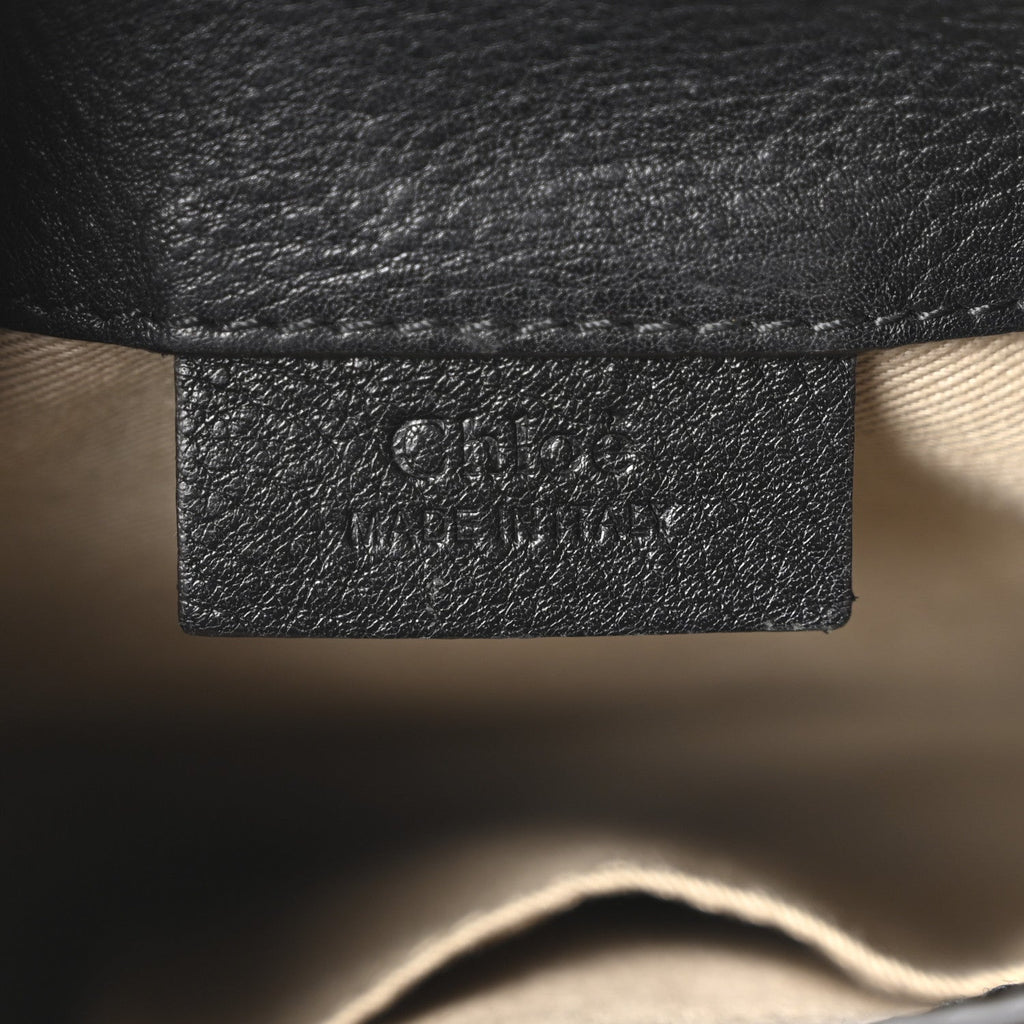 Suede Calfskin Mini Faye Backpack Black