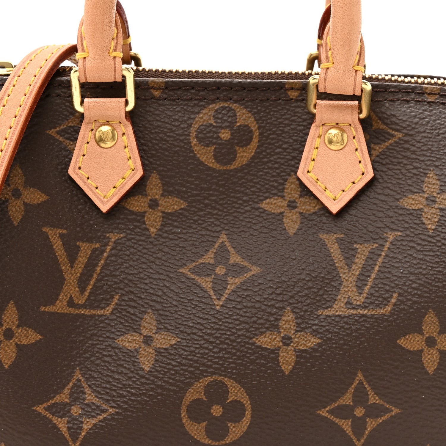 Monogram Nano Speedy