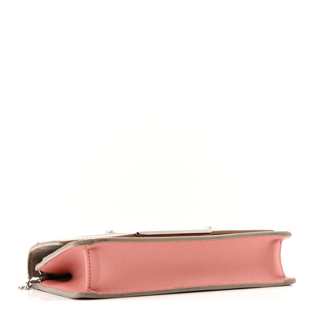 Vitello Elite Crystal Eye Monster Tube Wallet on Chain Grigio Polvere Ribes Multicolor