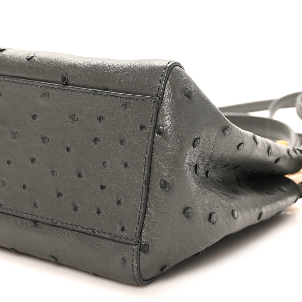 Ostrich Shiny Nappa Mini Peekaboo Iconic Satchel Grey