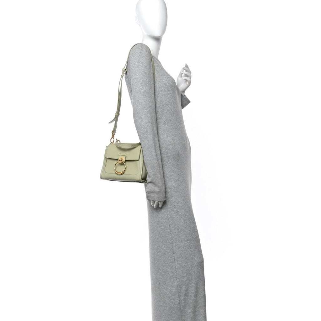 Calfskin Mini Tess Day Bag Light Eucalyptus
