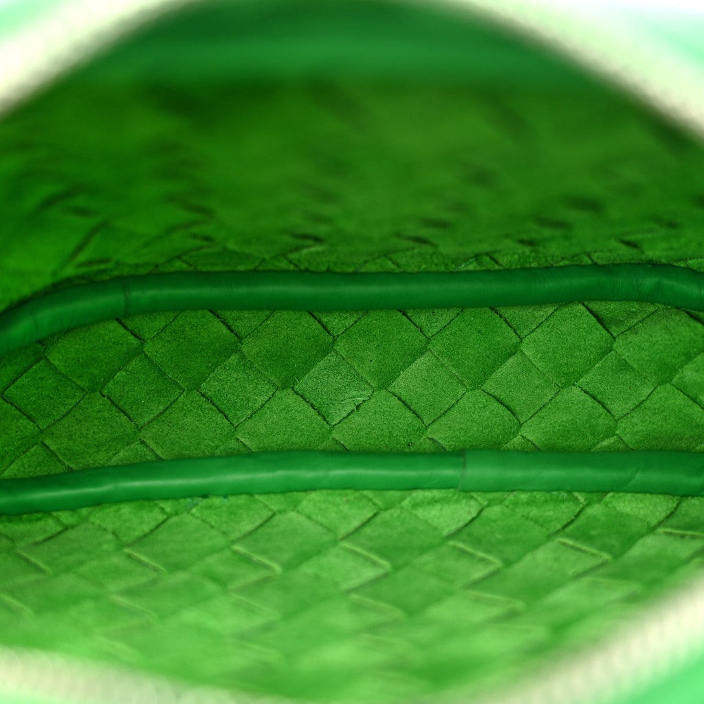 Calfskin Intrecciato Small Camera Bag Parakeet