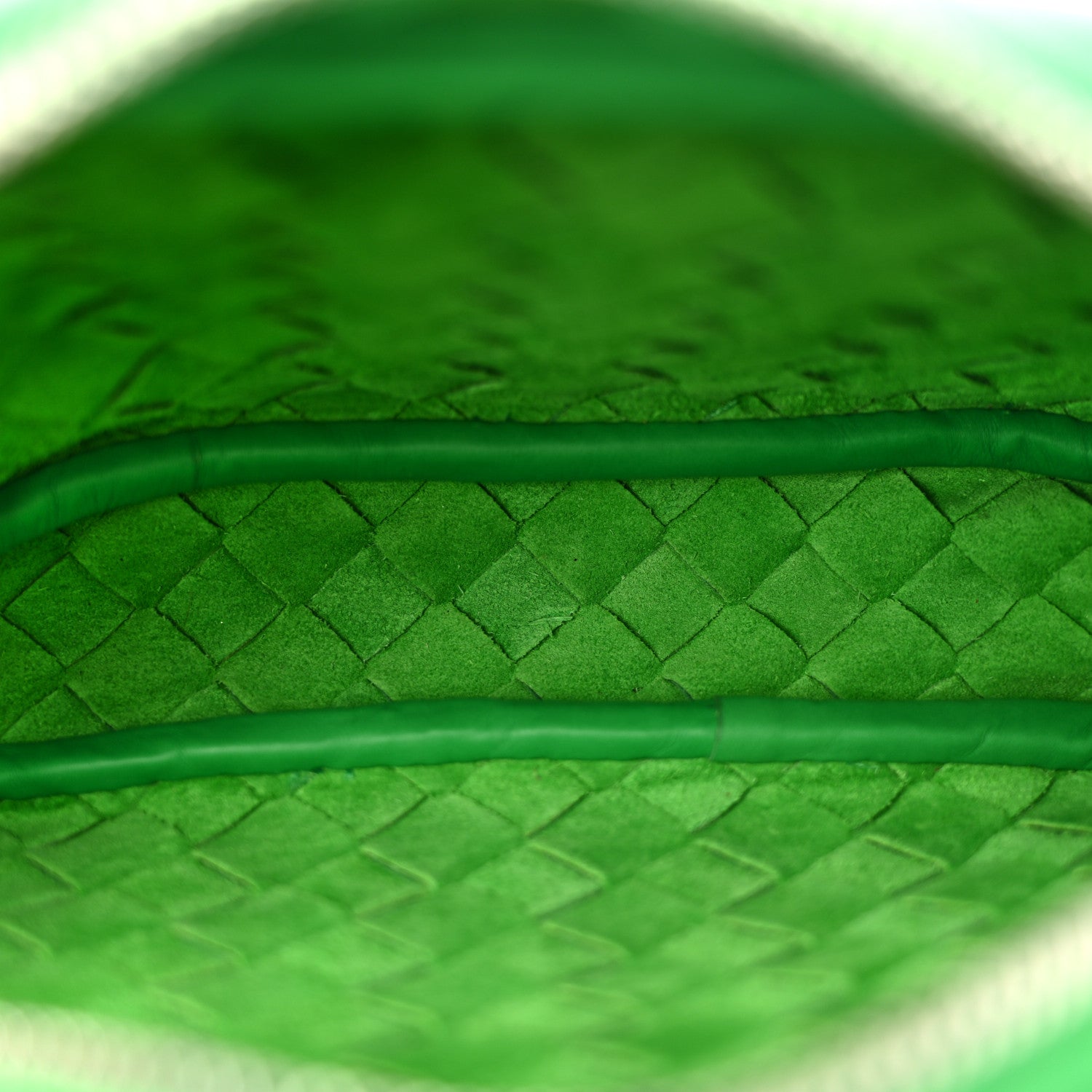 Calfskin Intrecciato Small Camera Bag Parakeet