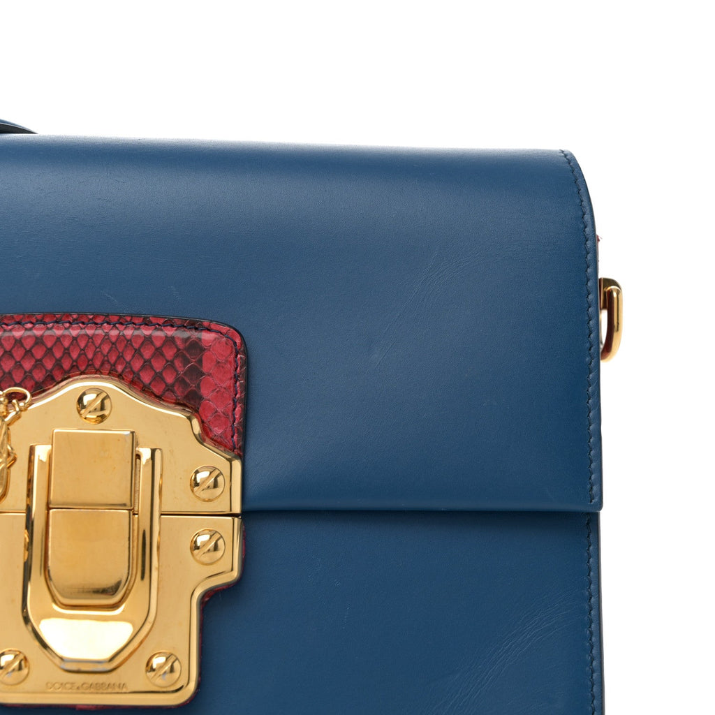 Calfskin Snakeskin Lucia Shoulder Bag Blue Red