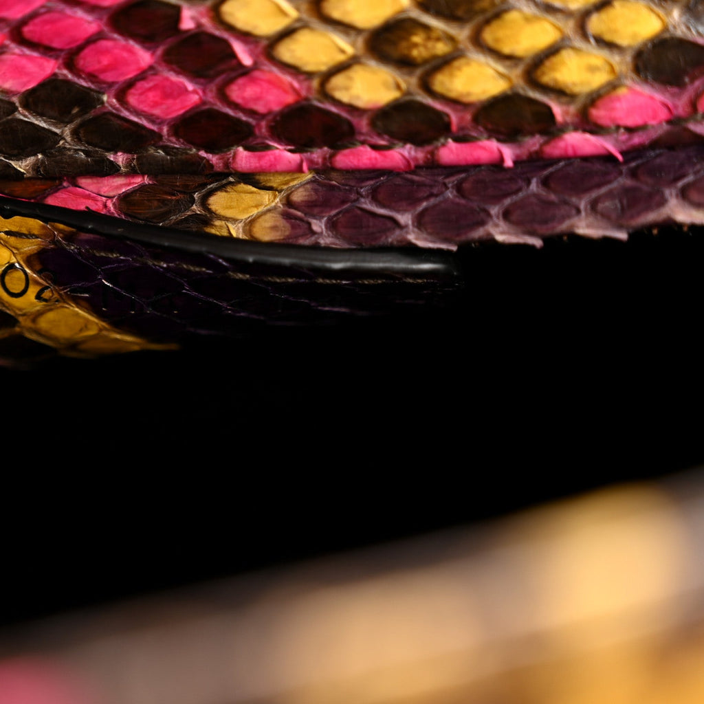Snakeskin Medium Lady Dior Multicolor