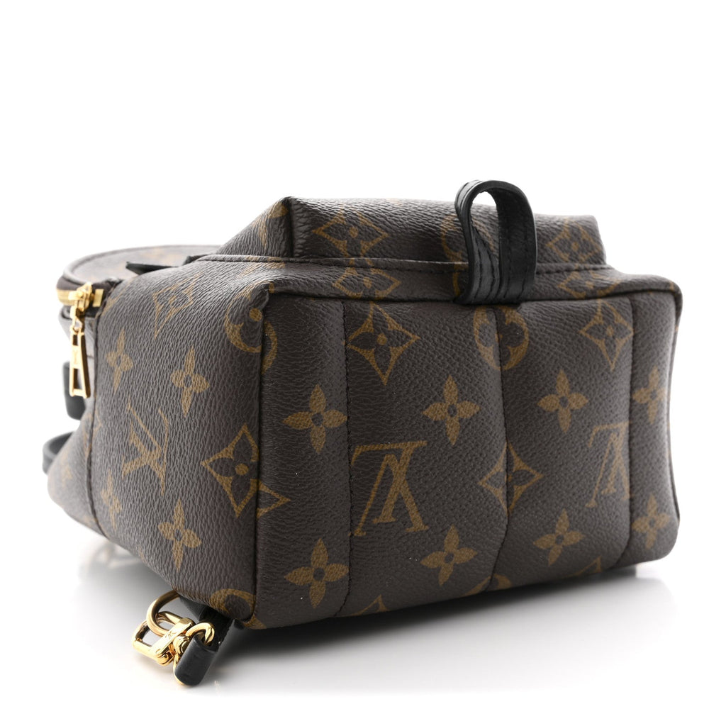 Monogram Palm Springs Backpack Mini