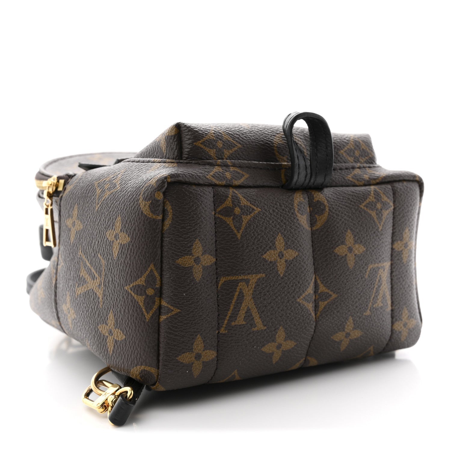 Monogram Palm Springs Backpack Mini