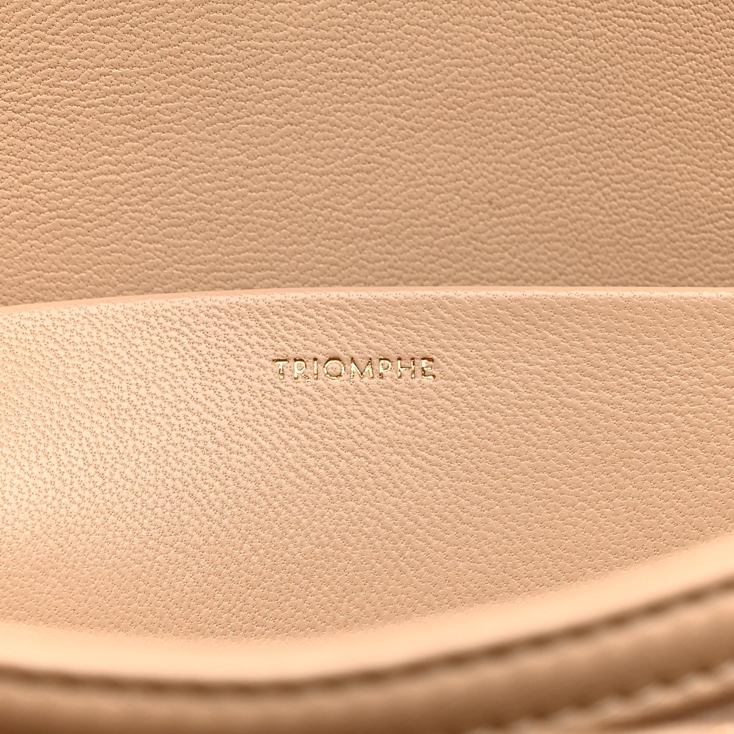 Shiny Calfskin Medium Triomphe Nude
