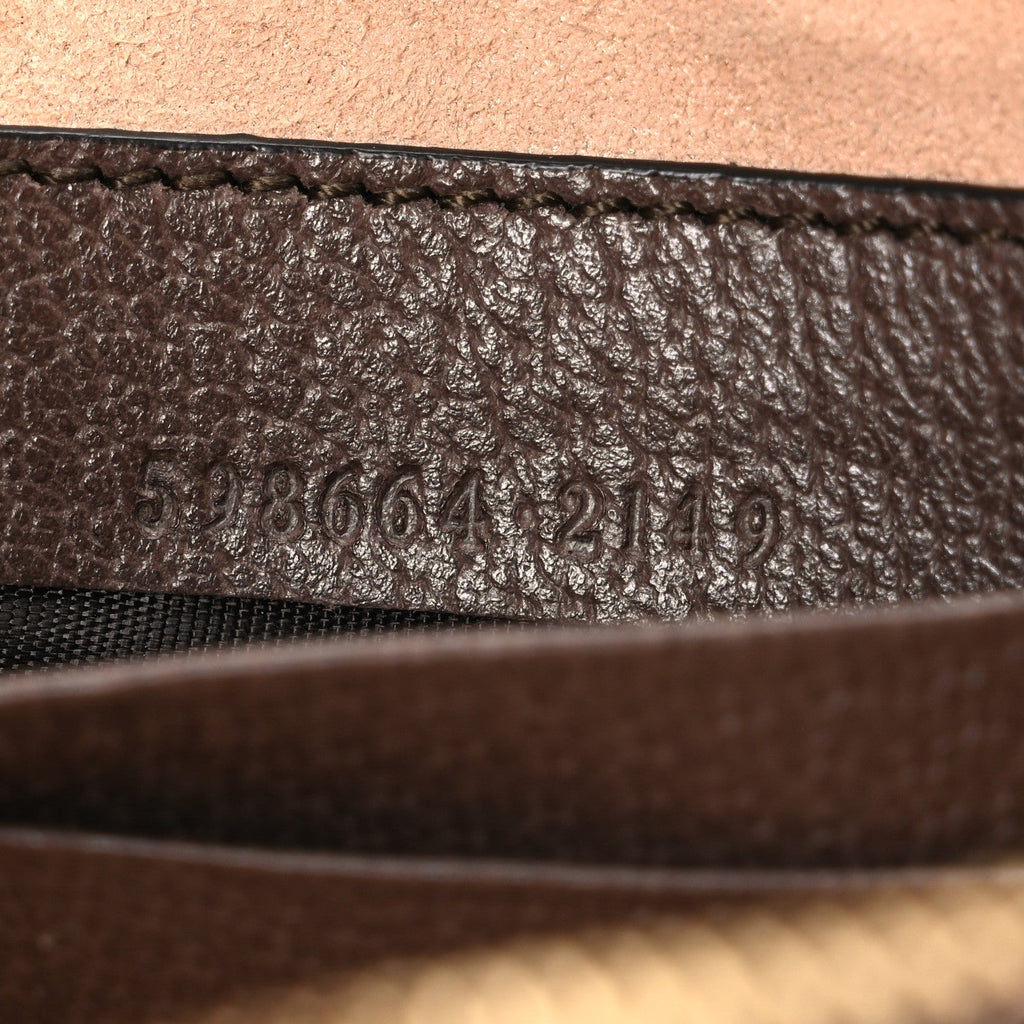 GG Supreme Monogram Web Mini Ophidia GG Bag Brown