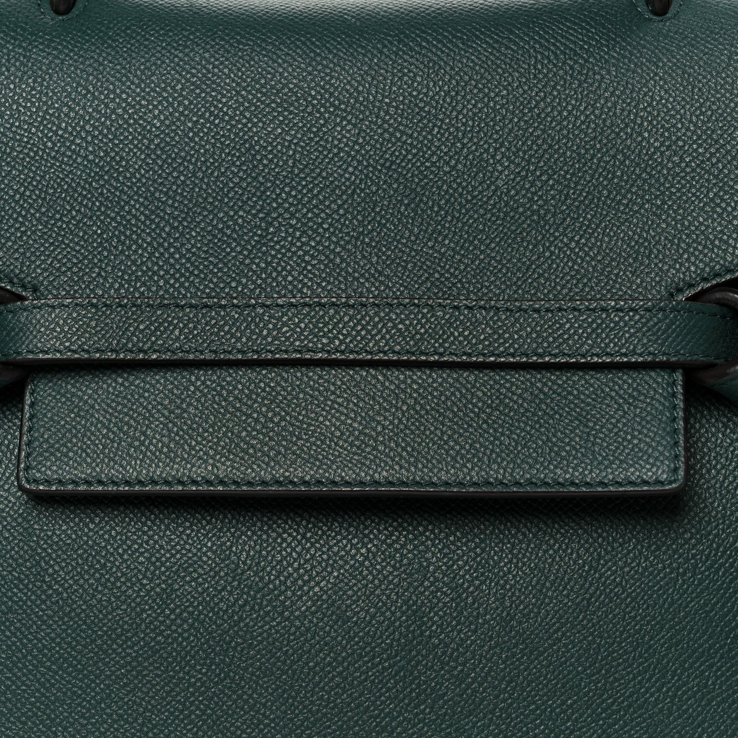Grained Calfskin Micro Belt Bag Amazone