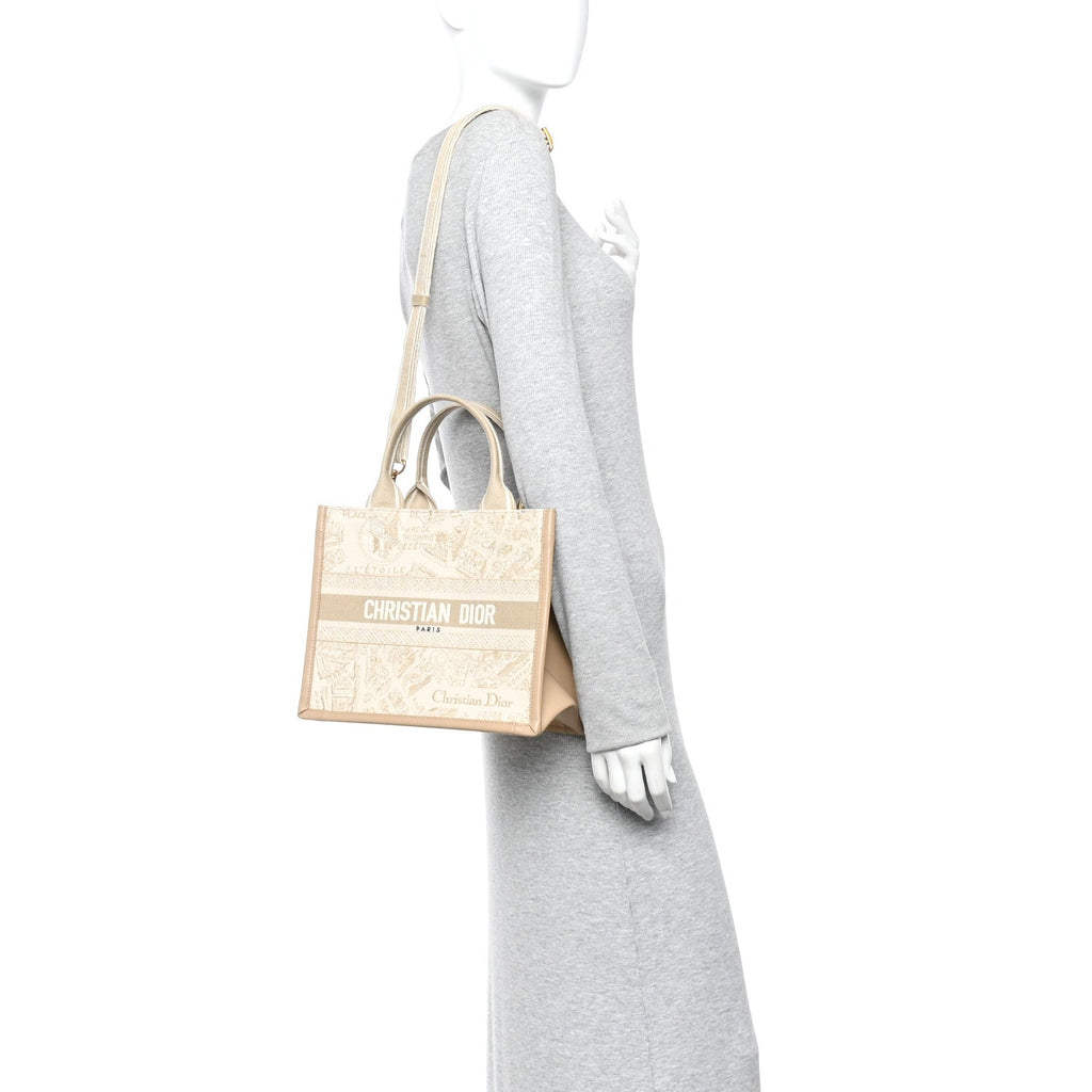 Canvas Calfskin Embroidered Small Plan De Paris Book Tote With Strap Beige