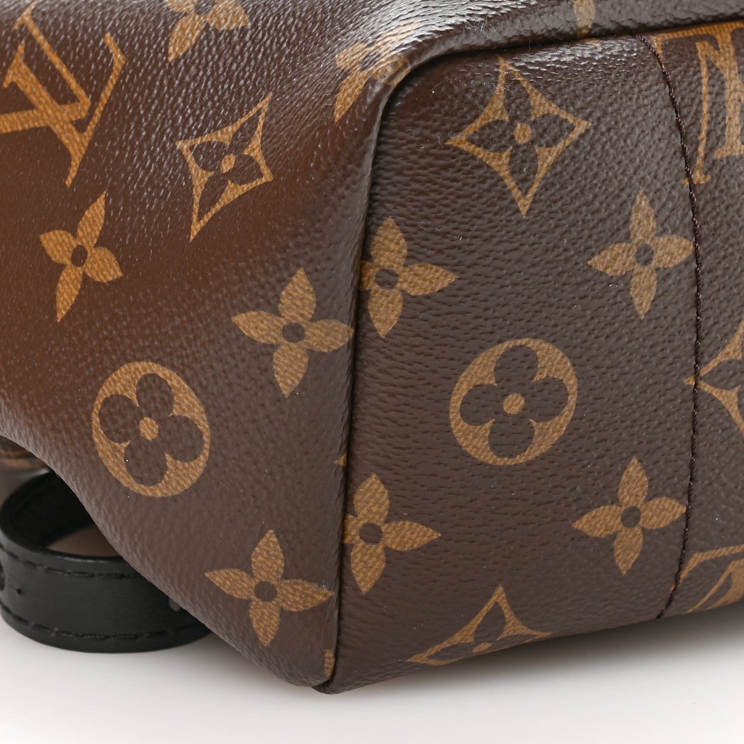 Monogram Palm Springs Backpack PM