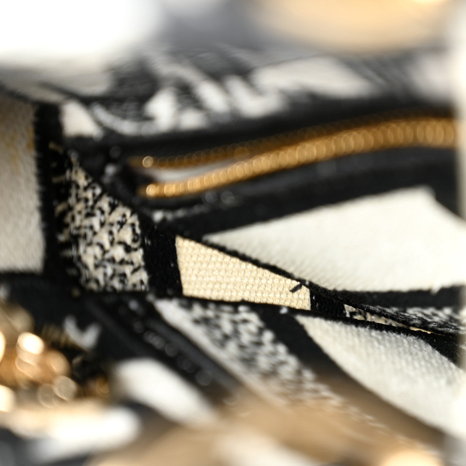 Canvas Petites Fleurs Embroidered Mini Lady D-Lite Black White