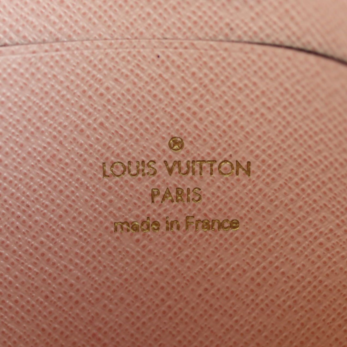 Louis Vuitton Double Zip Pochette 2020 Christmas Vivienne