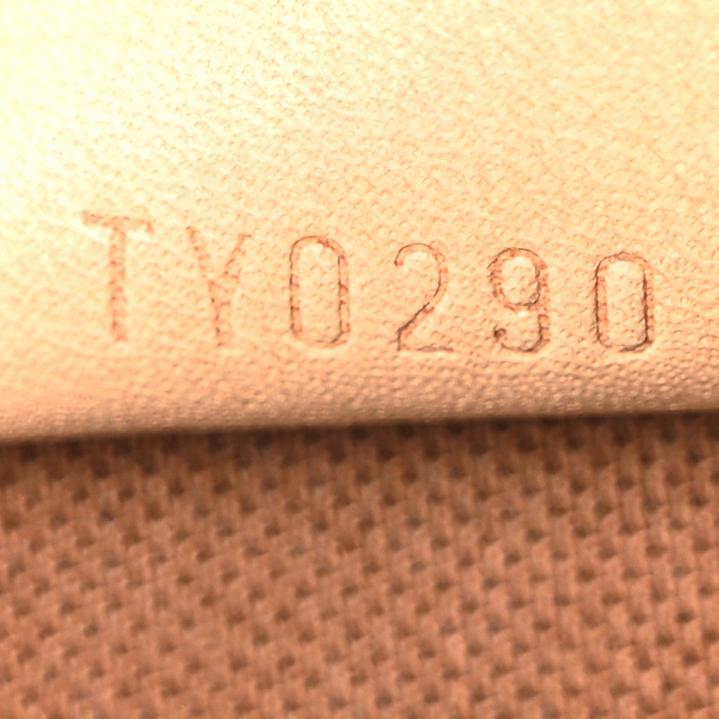 Monogram Nano Speedy