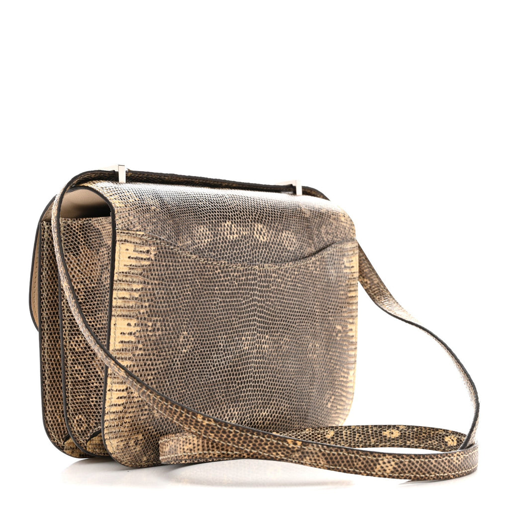 Lizard Constance 18 Ombre