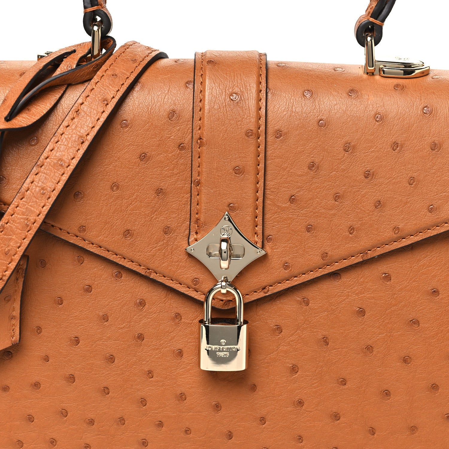 Ostrich Rose Des Vents PM Cognac