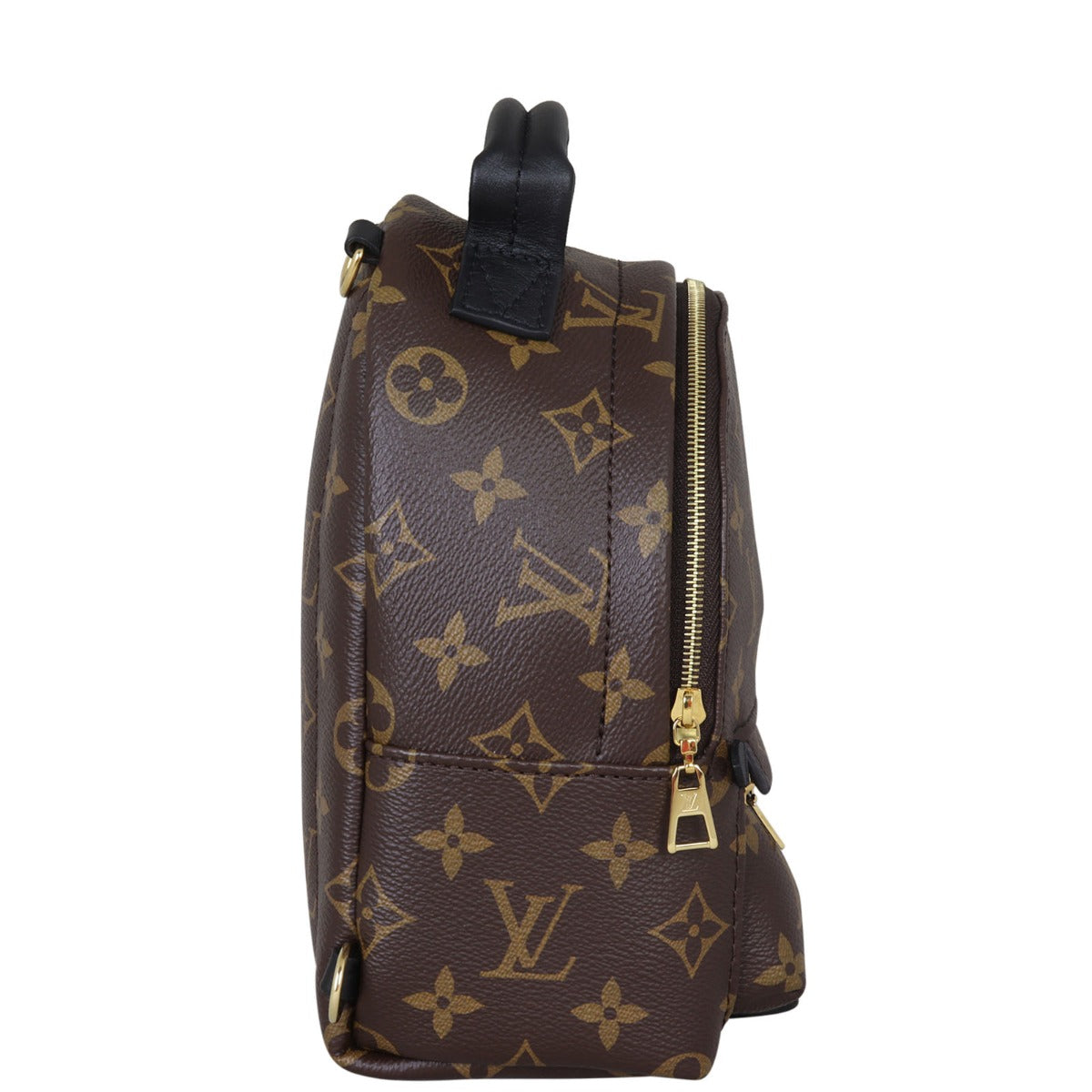 Louis Vuitton Palm Springs Mini Backpack Monogram
