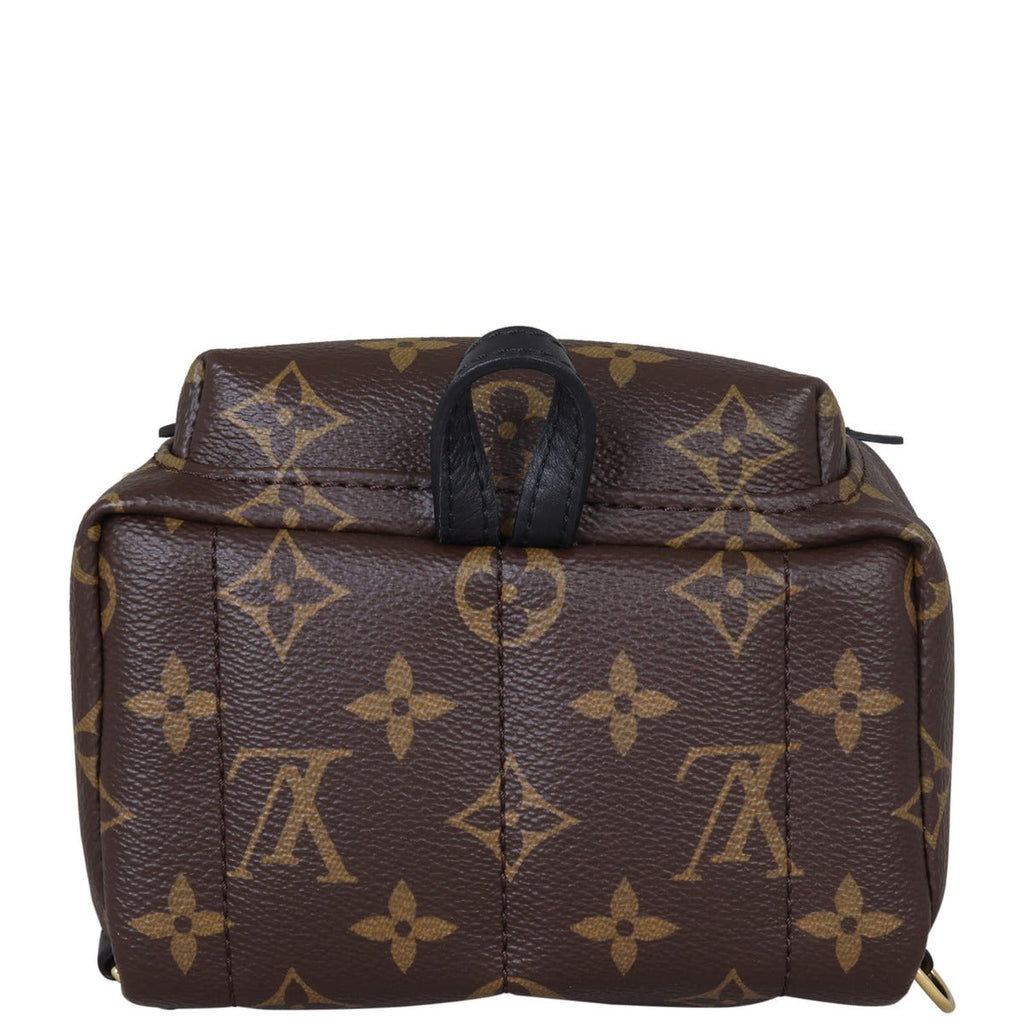 Louis Vuitton Palm Springs Mini Backpack Monogram