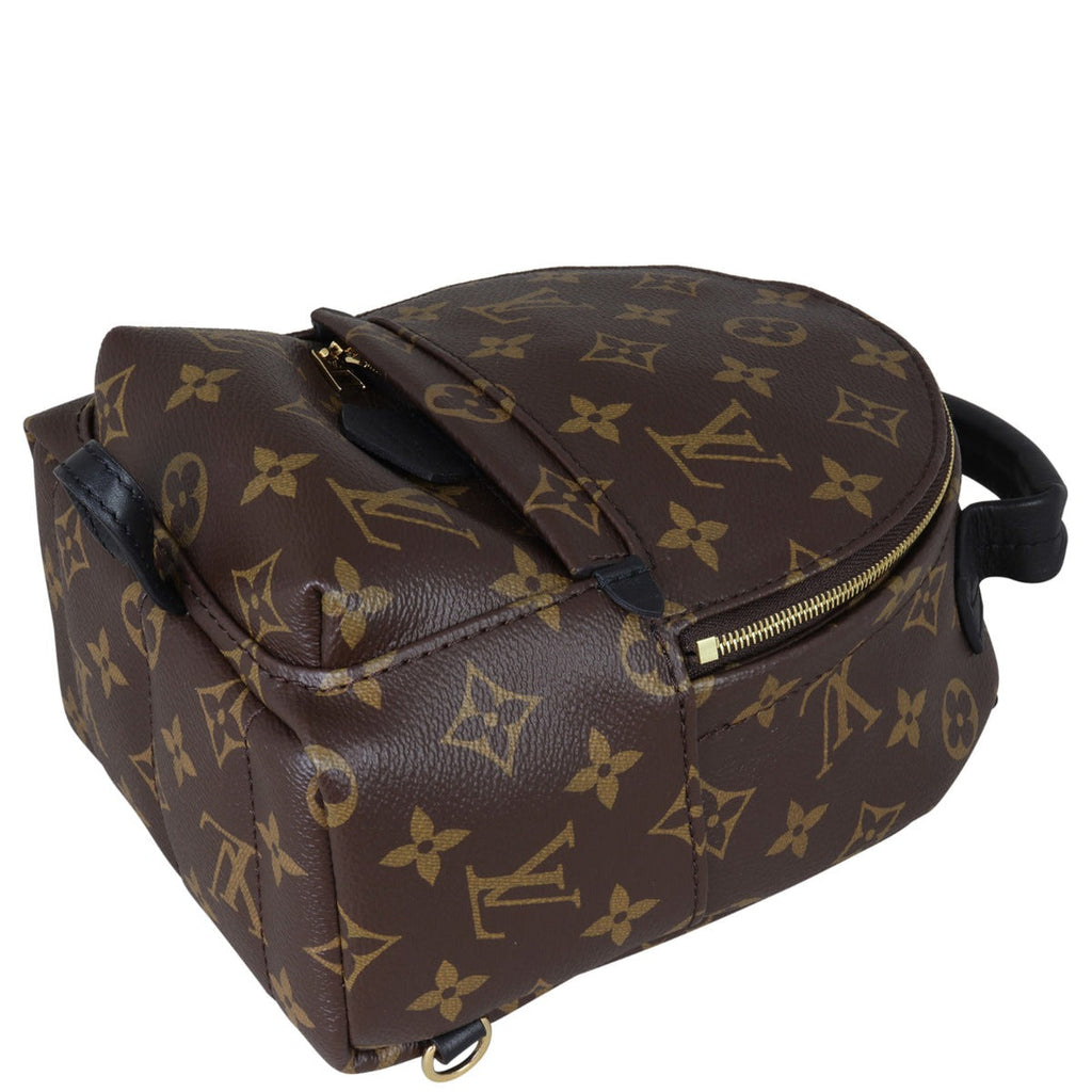 Louis Vuitton Palm Springs Mini Backpack Monogram