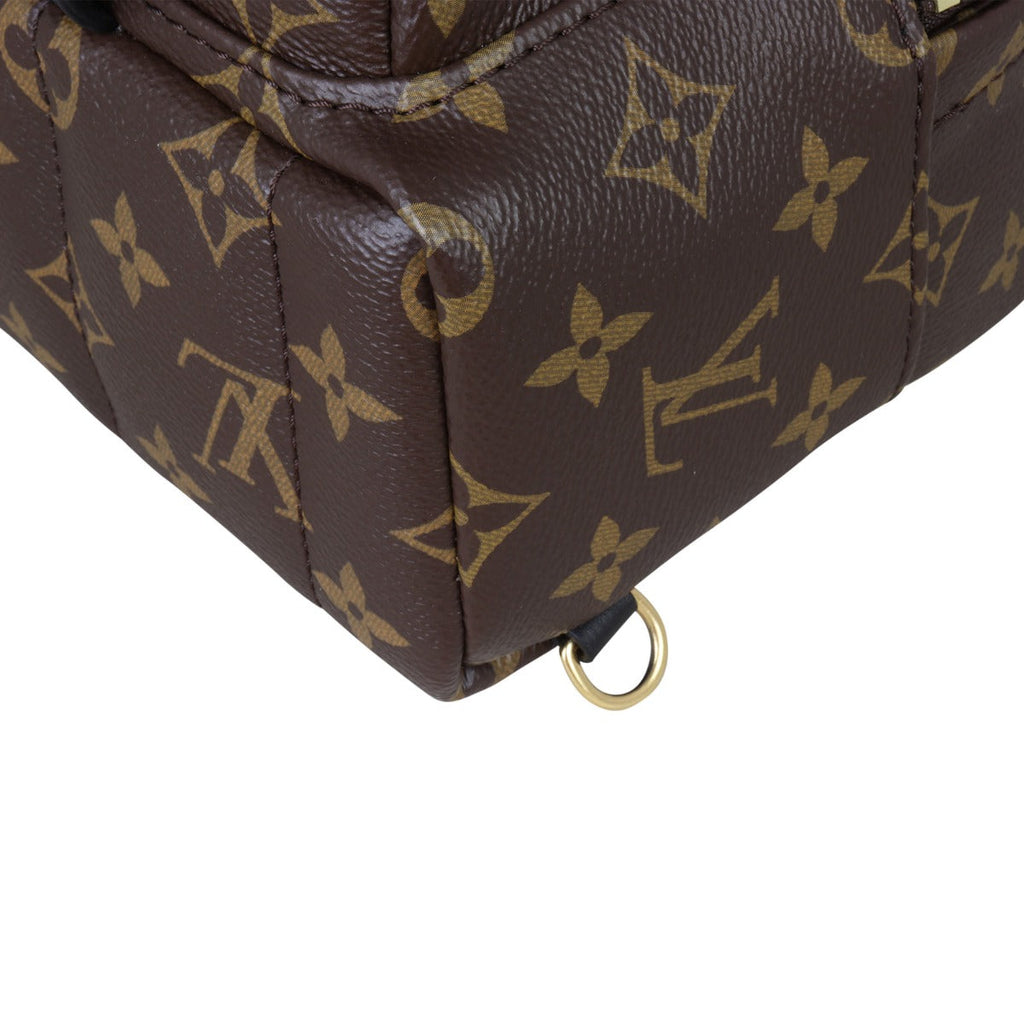 Louis Vuitton Palm Springs Mini Backpack Monogram