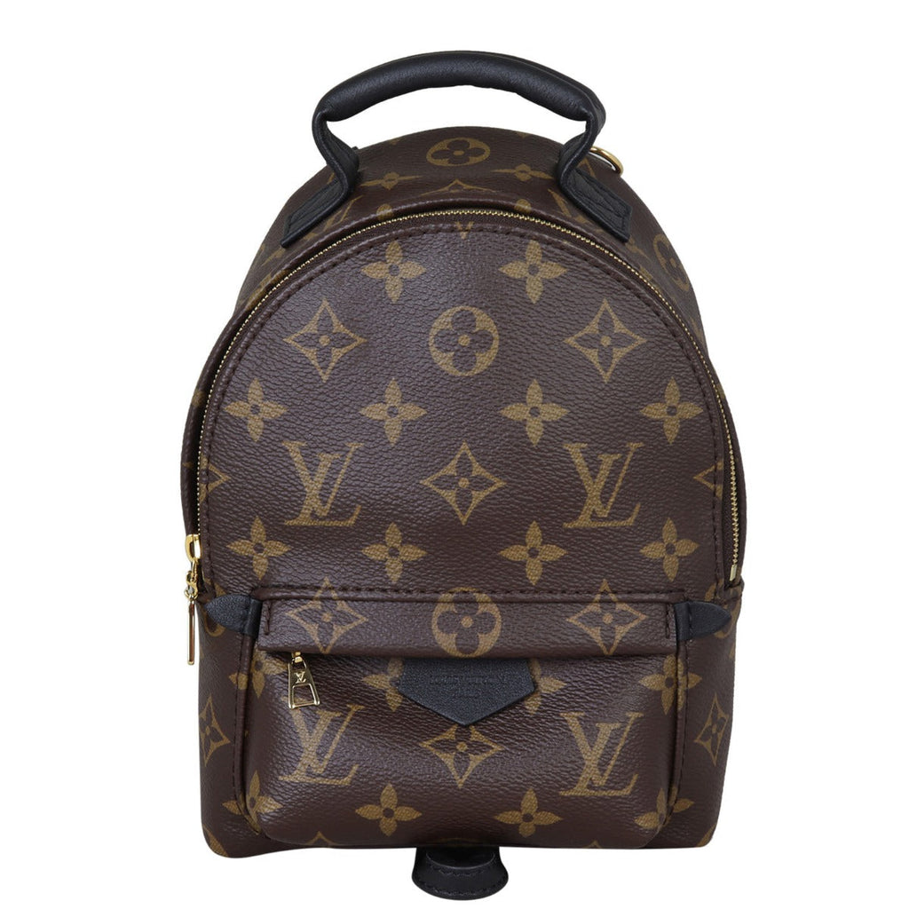 Louis Vuitton Palm Springs Mini Backpack Monogram