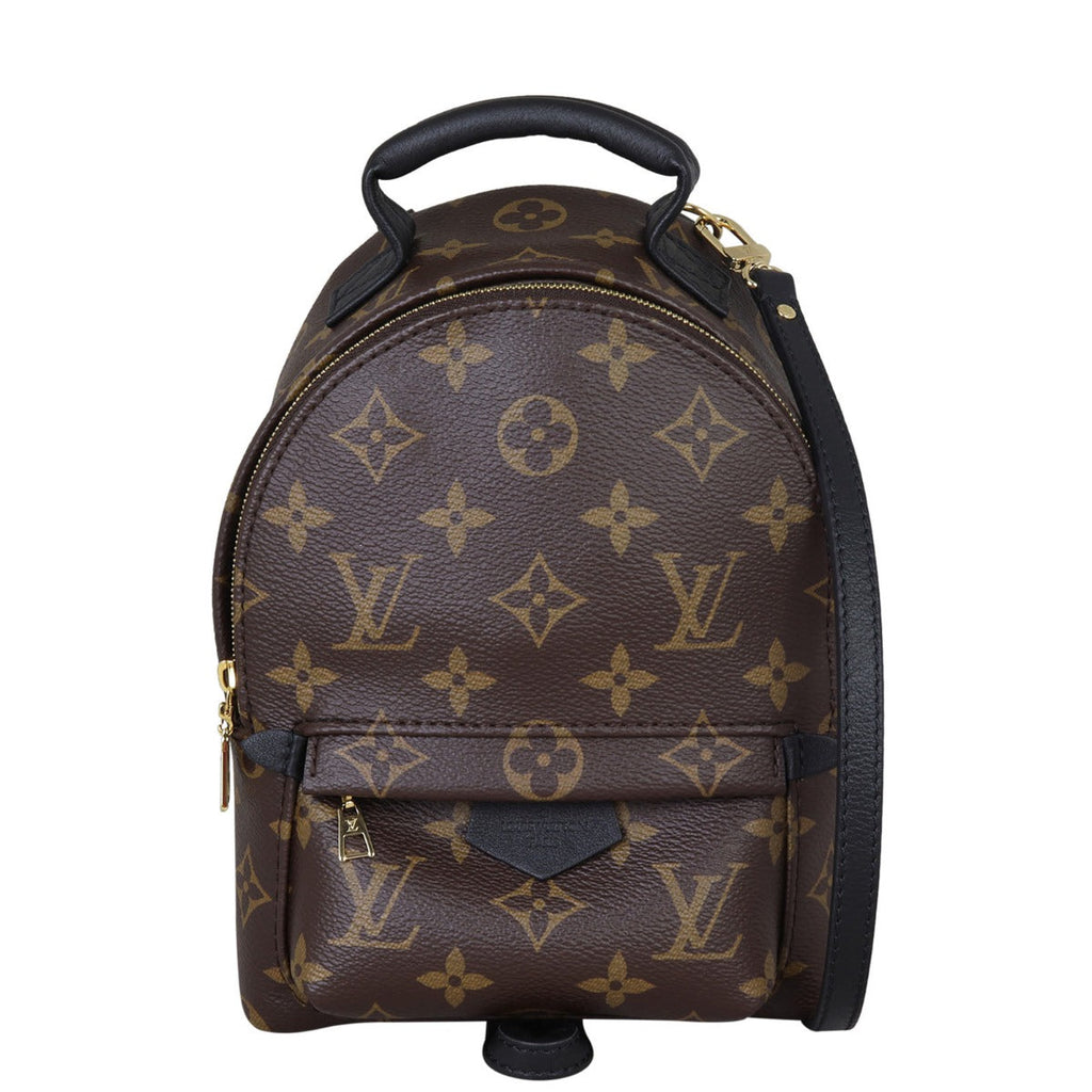 Louis Vuitton Palm Springs Mini Backpack Monogram