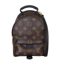 Louis Vuitton Palm Springs Mini Backpack Monogram
