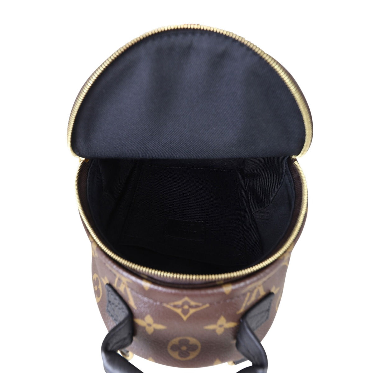Louis Vuitton Palm Springs Mini Backpack Monogram
