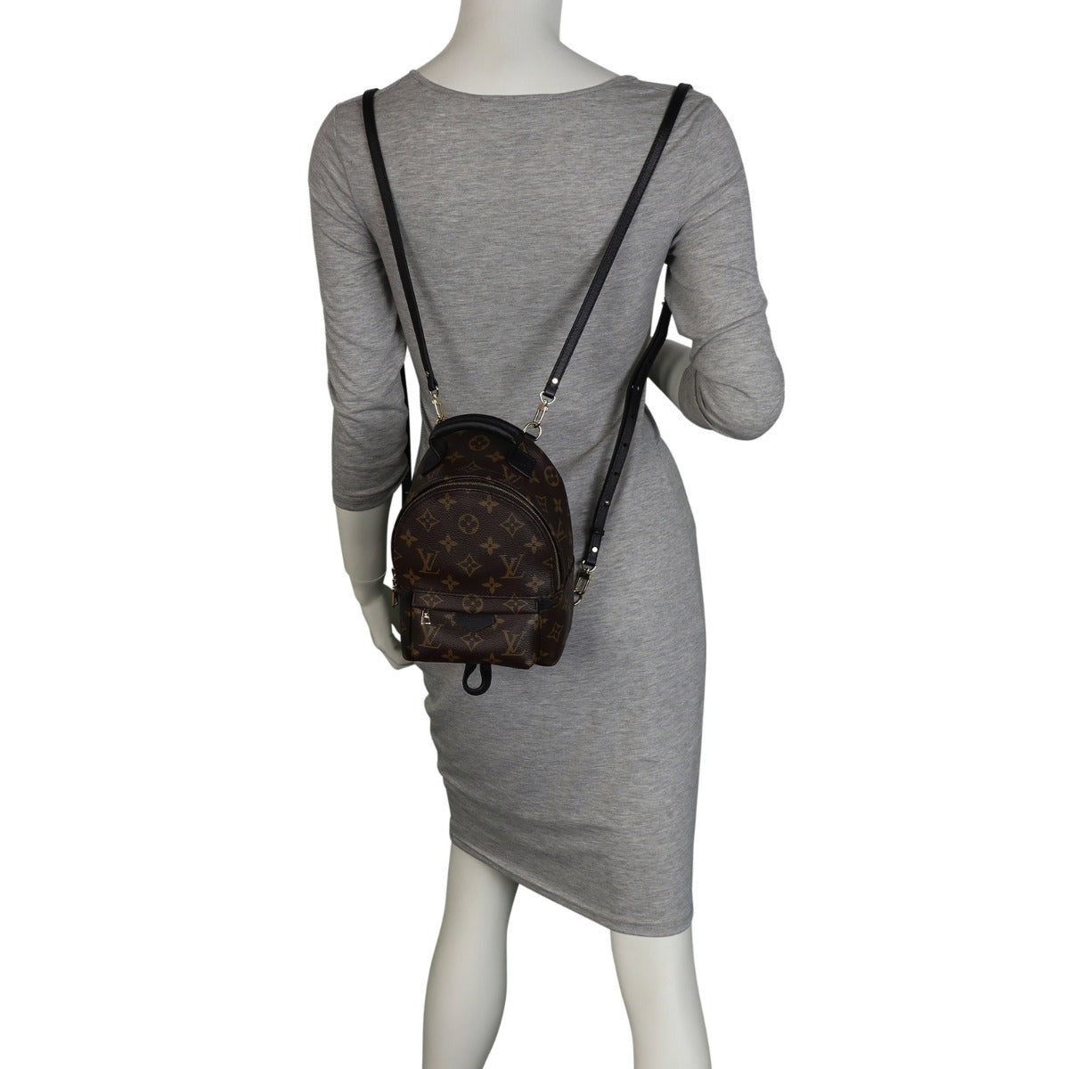 Louis Vuitton Palm Springs Mini Backpack Monogram