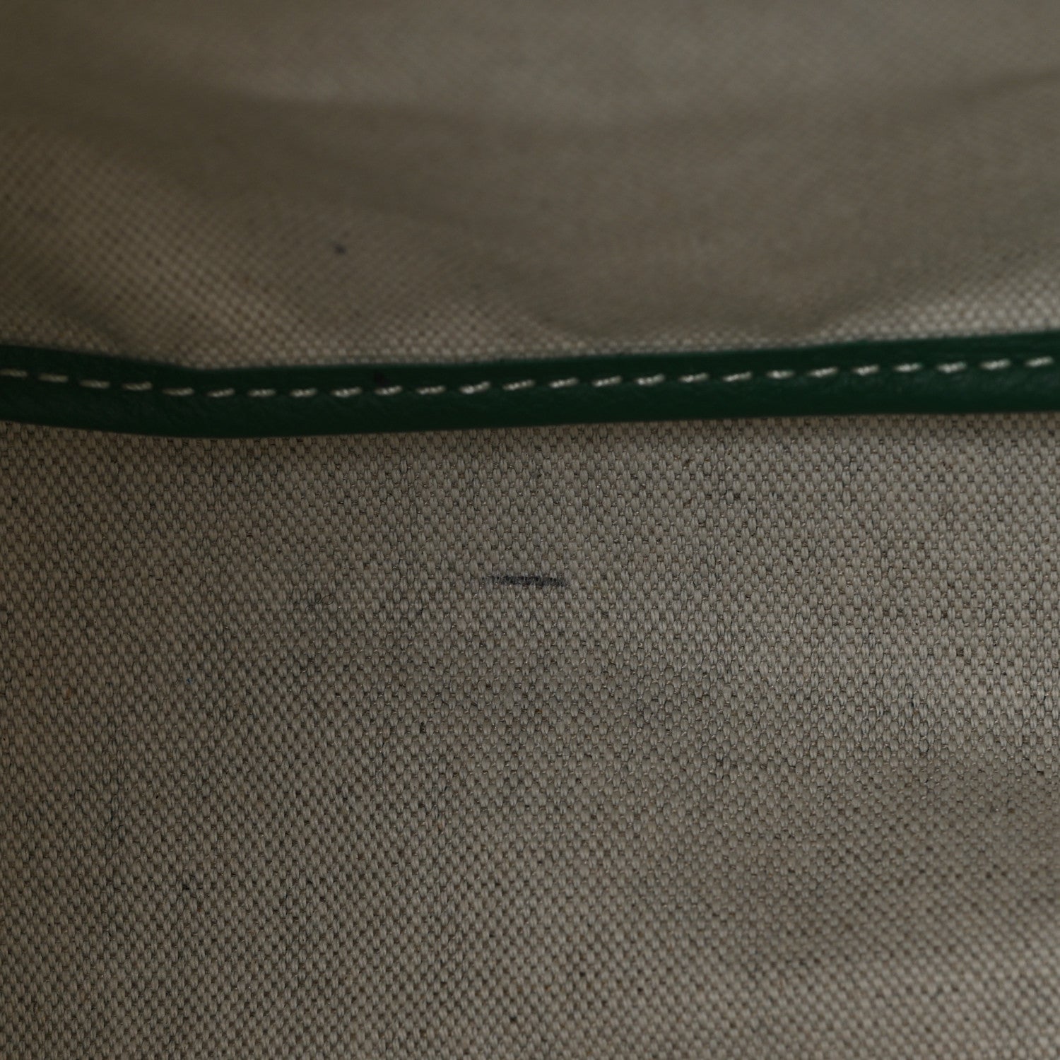 Goyardine Saint Louis PM Green