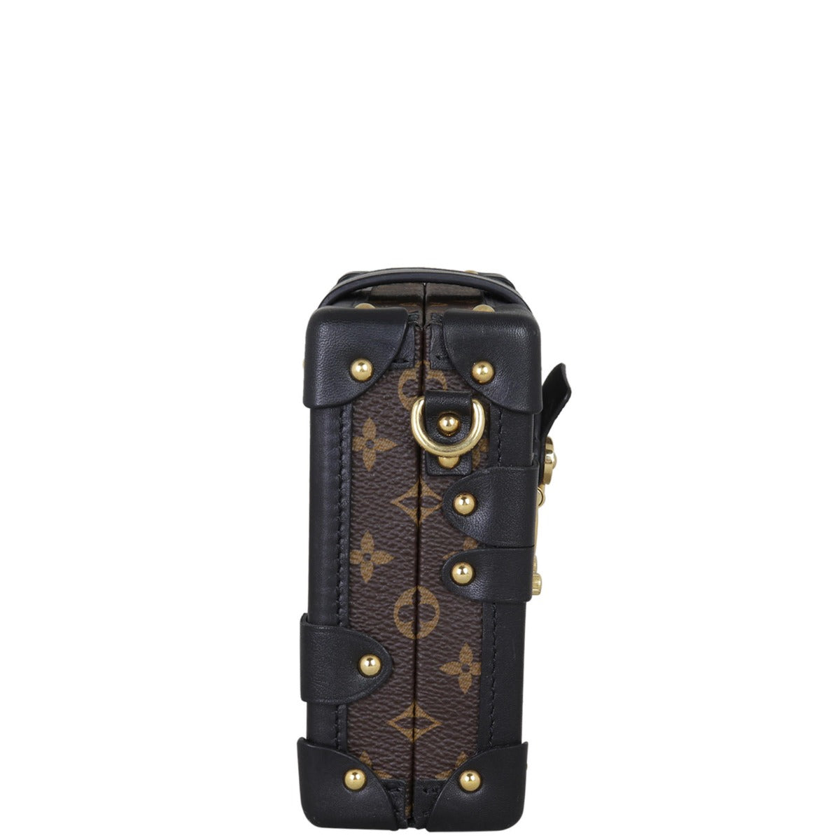 Louis Vuitton Petite Malle Monogram My LV World Tour