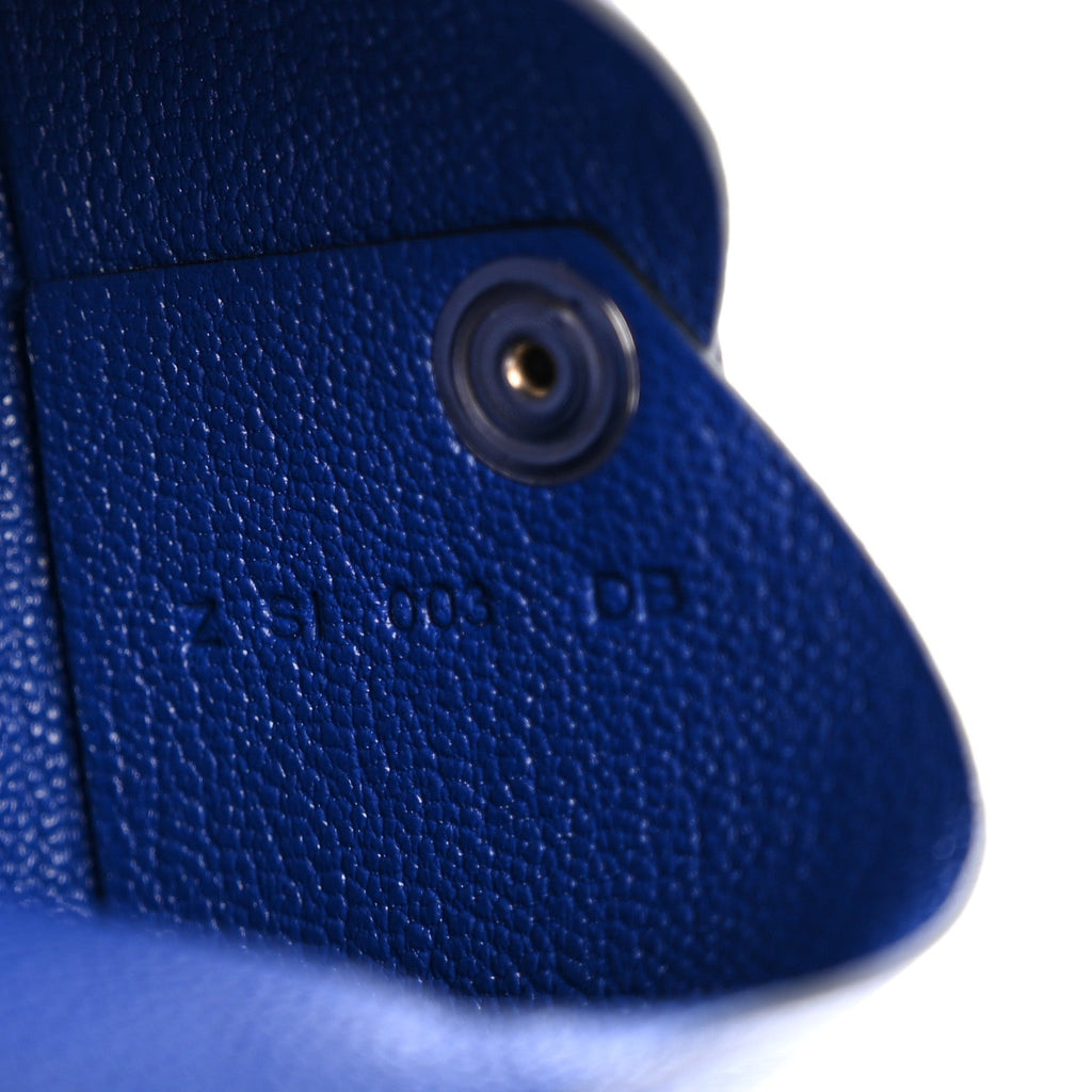 Chevre Chamkila Calvi  Case Bleu Electrique