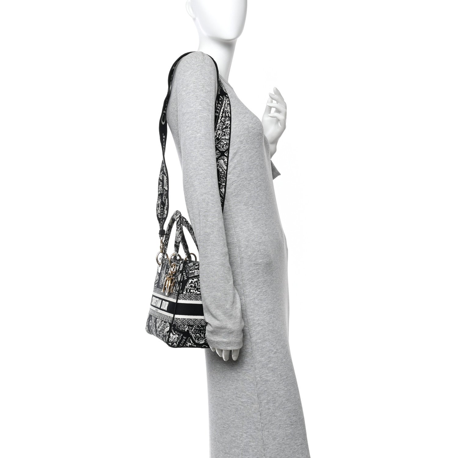 Canvas Embroidered Medium Plan de Paris Lady D-Lite Black White