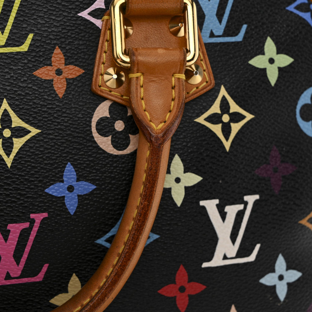 Monogram Multicolor Trouville Black