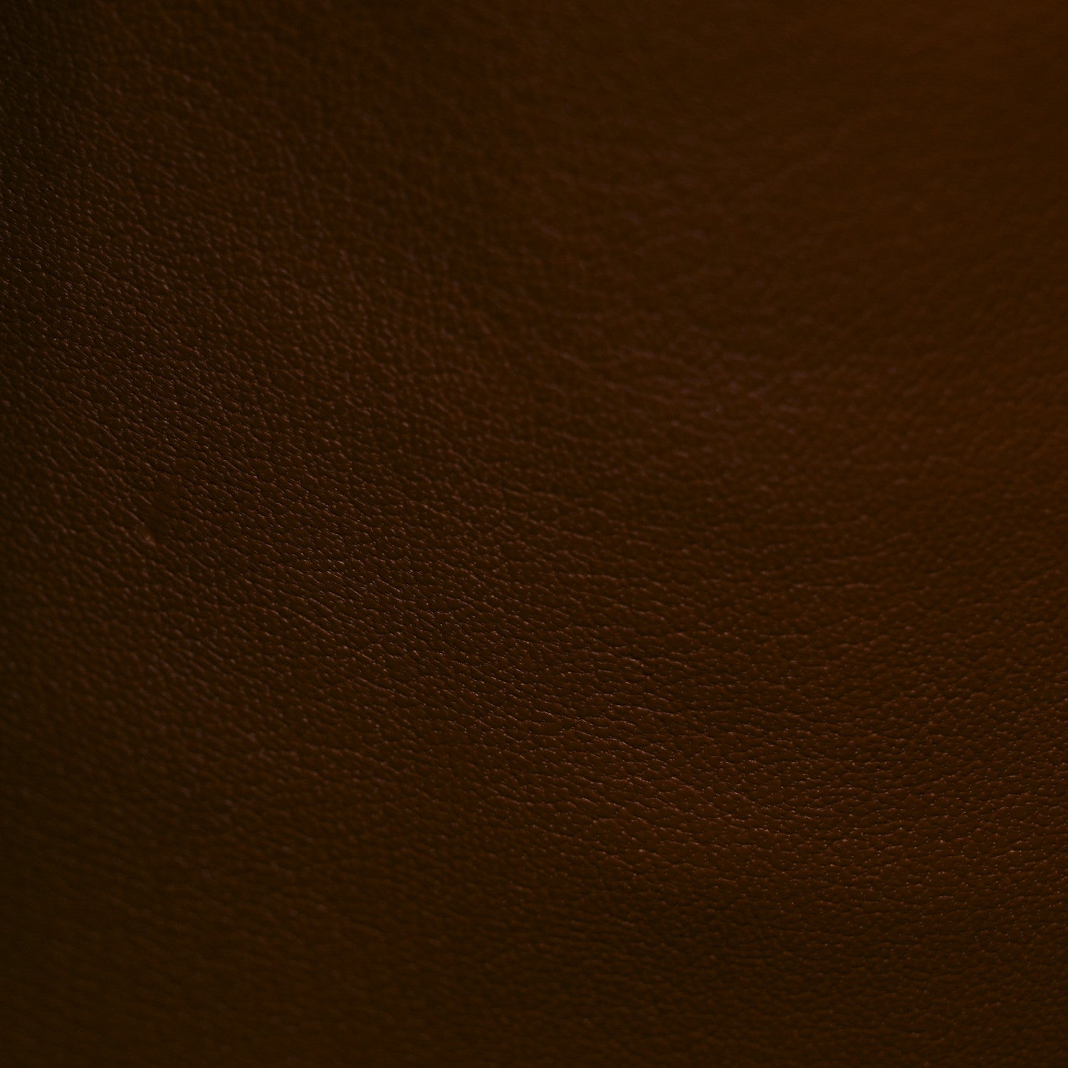 Alligator City Steamer MM Sienna Brown
