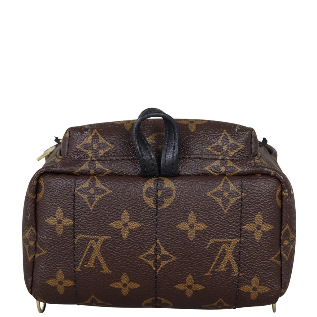 Louis Vuitton Palm Springs Mini Backpack Monogram