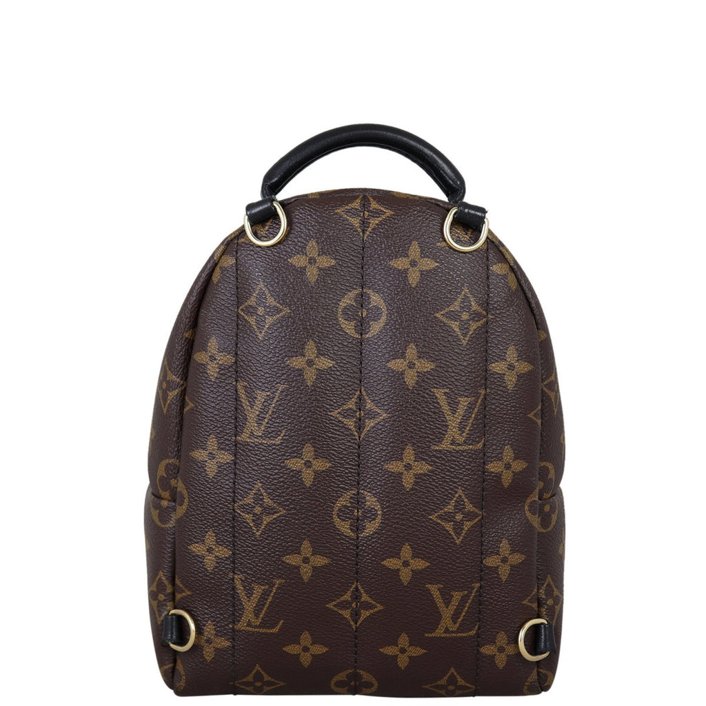 Louis Vuitton Palm Springs Mini Backpack Monogram