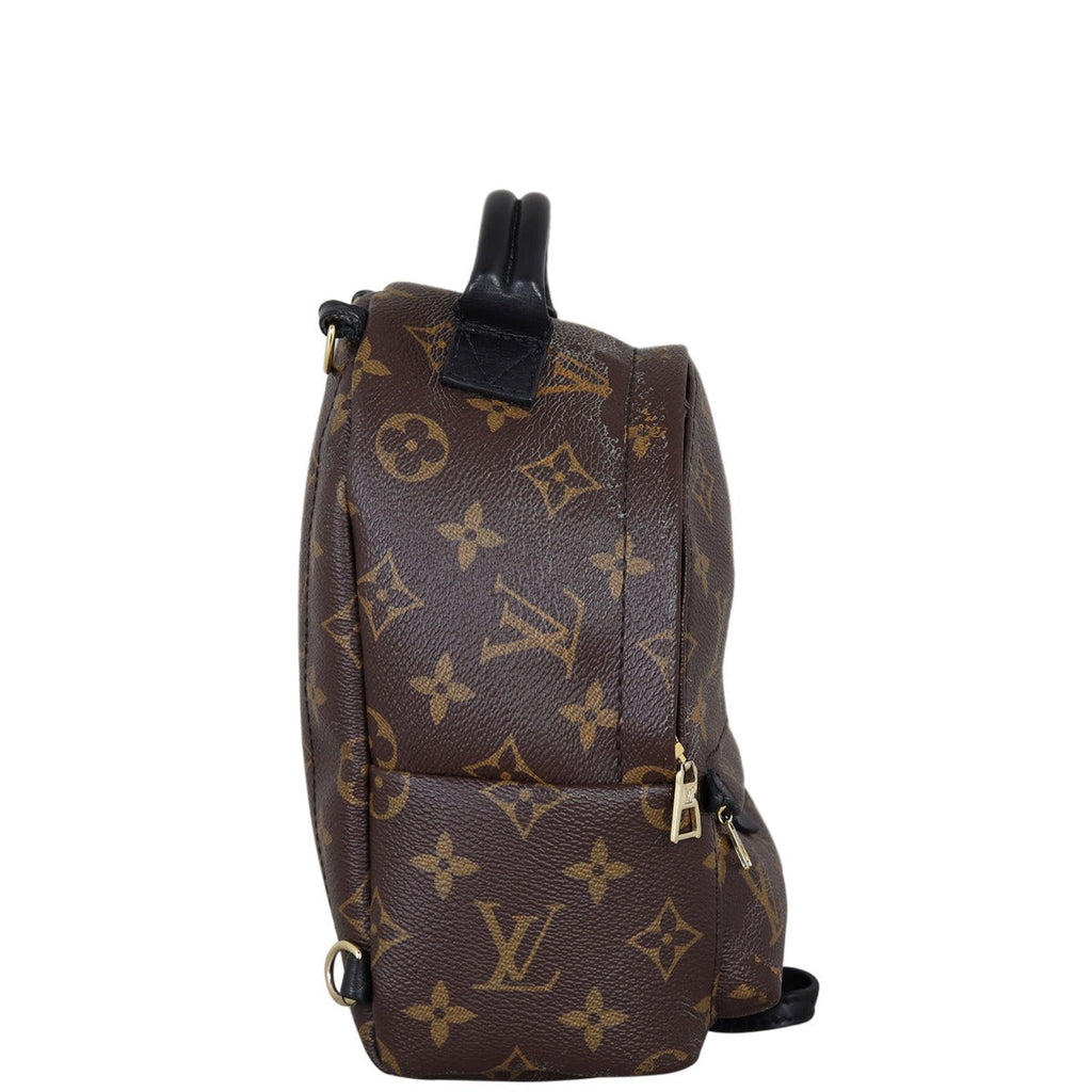 Louis Vuitton Palm Springs Mini Backpack Monogram