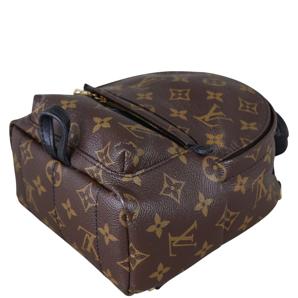 Louis Vuitton Palm Springs Mini Backpack Monogram