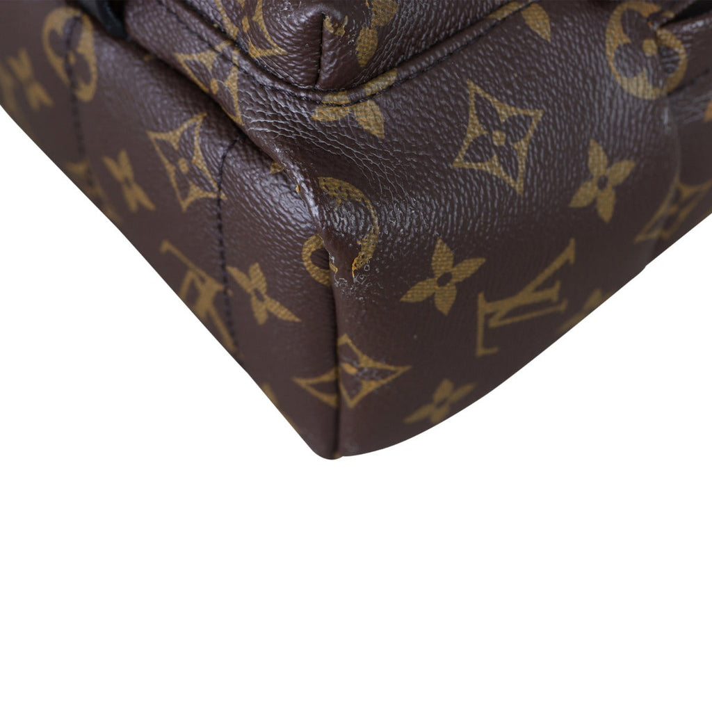 Louis Vuitton Palm Springs Mini Backpack Monogram