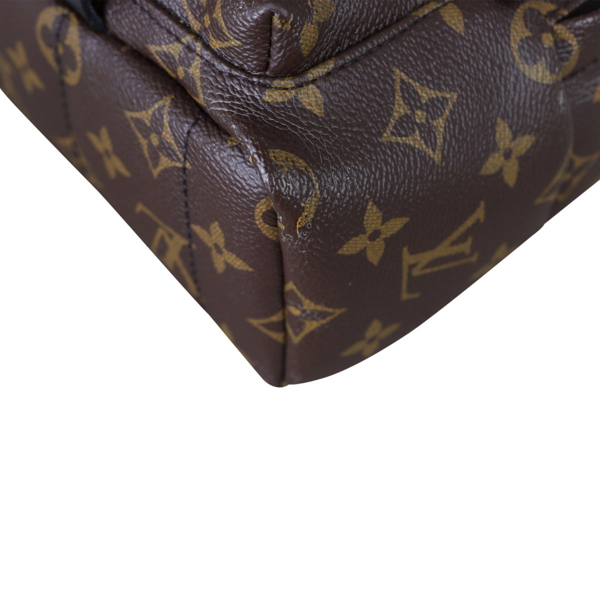 Louis Vuitton Palm Springs Mini Backpack Monogram