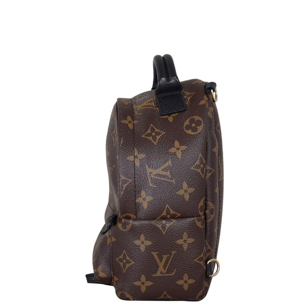 Louis Vuitton Palm Springs Mini Backpack Monogram